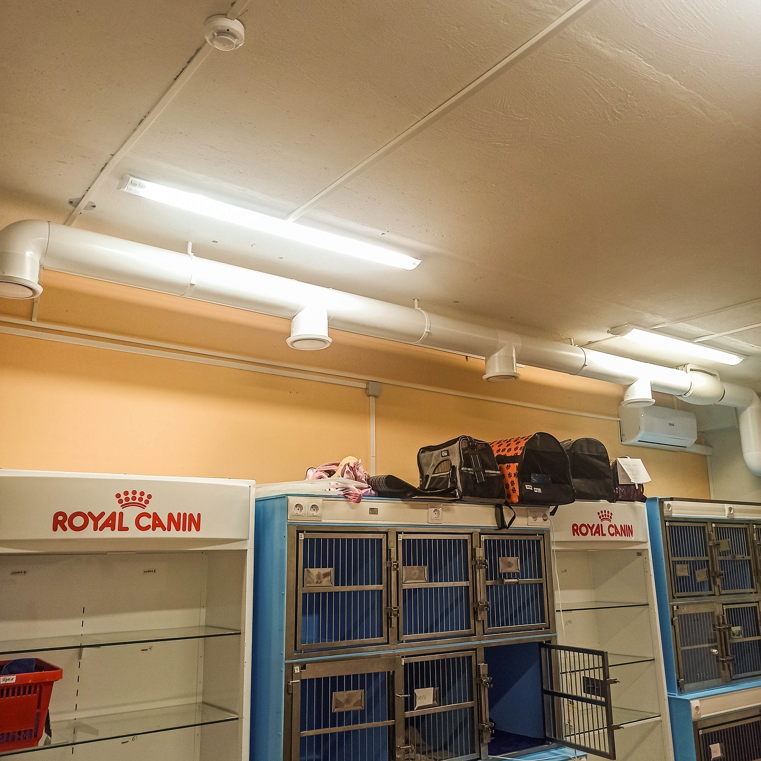 Ветеринарная клиника «Феликс»